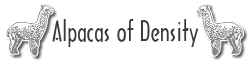 Alpacas of Density-Logo