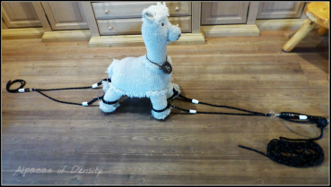 Scherhilfe für Alpakas – sichere Unterstützung bei der Schur