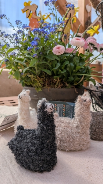 Eierwärmer aus Alpaka- und Schafwolle – warm, nachhaltig & handgemacht